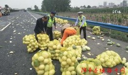 最有料官网 51热心的朝阳区群众今日吃瓜,51热心今日瓜田，吃瓜群众纷纷围观